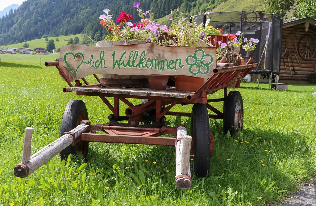 Obersinnlehenhof Maishofen Ngoại thất bức ảnh
